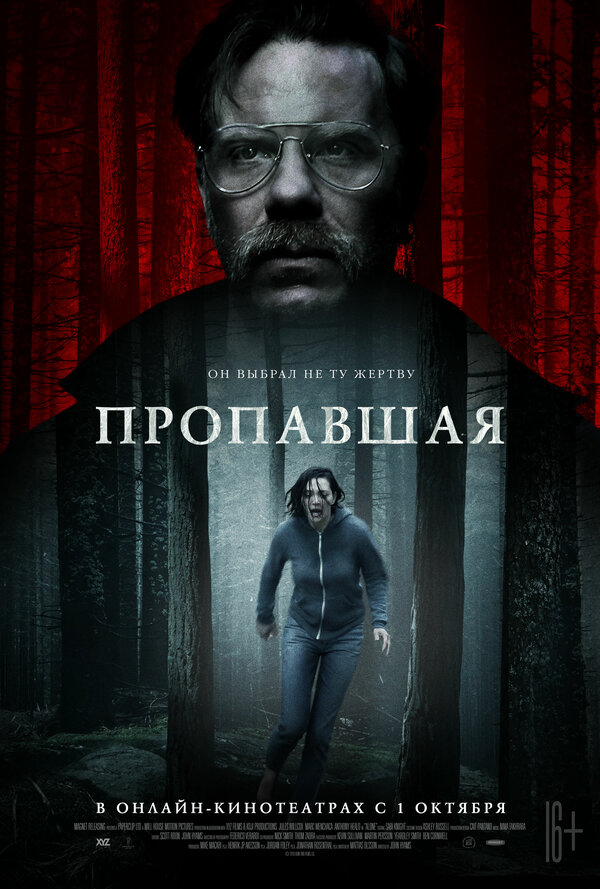 Пропавшая 2020 постер